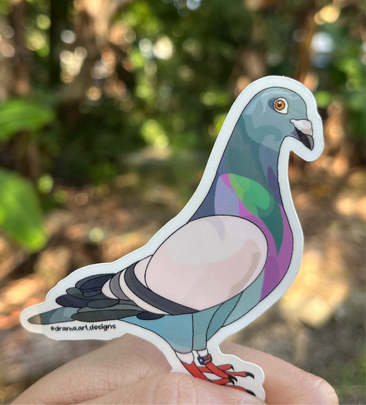 Paloma - Sticker